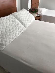 a large white bed in a bedroom with a plant at Hotel Itamarati in Uberlândia