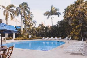 a swimming pool with chairs and palm trees at Hotel Barranquilla Plaza in Barranquilla