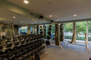 une salle de sport avec de nombreuses haltères et beaucoup de fenêtres dans l'établissement Grand Pacific Palisades Resort, à Carlsbad