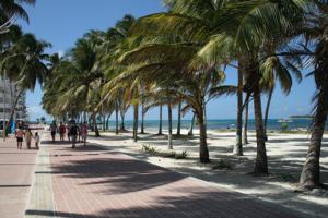 a group of people walking along a beach with palm trees at Tamarindo Centro Vip Apartment in San Andrés