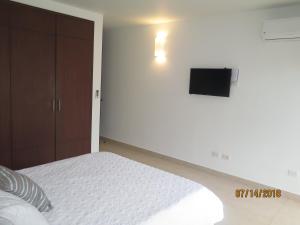 TV i/ili zabavni centar u objektu Tamarindo Centro Vip Apartment