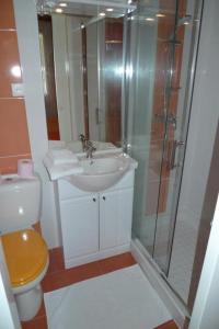 a bathroom with a toilet and a sink and a shower at Chambres d'Hôtes Mazurier in Cozes