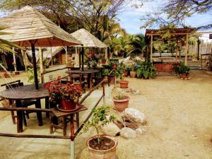 Gallery image of Guacamayo Bed & Breakfast in Máncora