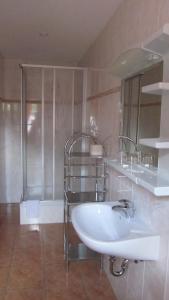 ein Badezimmer mit einem weißen Waschbecken und einer Dusche in der Unterkunft Haus Kehrwieder - Hotel am Kur-Café in Bad Suderode