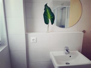 ein Badezimmer mit einem Waschbecken, einem Spiegel und einer Pflanze in der Unterkunft Studio 35 (Waren Müritz) in Waren (Müritz)