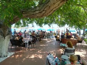 a group of people sitting at tables under a tree at Apartmani Alex Beach in Star Dojran