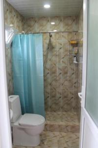 a bathroom with a toilet and a shower at Beautiful Georgia Guesthouse in Didi Jikhaishi