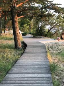 un camino de madera en un parque con un árbol en Apartments in Vabaduse 72, en Narva-Jõesuu