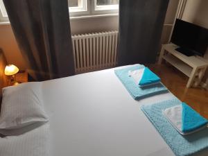 Fotografie z fotogalerie ubytování Apartment Simić v destinaci Valjevo