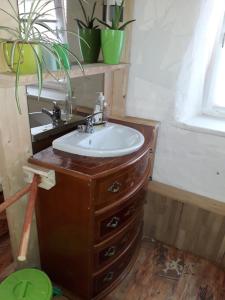 a bathroom with a sink and a wooden dresser at A-Sissy-Hof in Bischofstetten