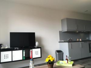 Gerbrandion Appartement Verhuur في فليسنجن: غرفة معيشة مع تلفزيون بشاشة مسطحة على منصة