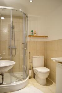 een badkamer met een douche, een toilet en een wastafel bij Studio in Ljubljana Center in Ljubljana
