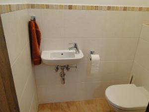 Kúpeľňa v ubytovaní Appartement Gipfelsturm