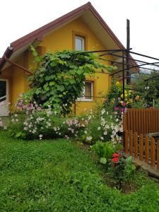 Zahrada ubytování Ластівчине гніздо