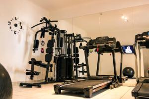 Fitness centrum a/nebo fitness zařízení v ubytování Aristea Hotel