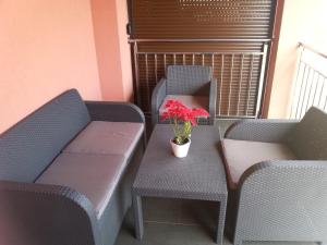 dwa krzesła i stół z czerwonym kwiatem w obiekcie Sobe apartmani Zagreb SAZ w Zagrzebiu