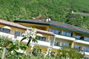 Nespecifikovaný výhled na hory nebo výhled na hory při pohledu z hotelu