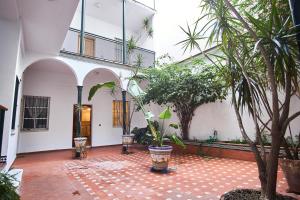A garden outside Pureza Oasis Suite