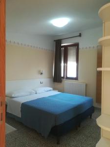 een slaapkamer met een groot bed en een blauwe deken bij Hotel Centrale in San Benedetto del Tronto