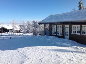 Bergestua - 4 bedroom cabin v zimě