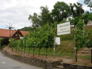 Fotografie z fotogalerie ubytování Weingut Schlafgut Genussgut Lorenz v destinaci Kitzeck im Sausal