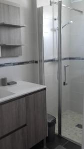 La salle de bains est pourvue d'une douche, d'un lavabo et de toilettes. dans l'établissement 12 Grand Sable, à Saint-Émilion