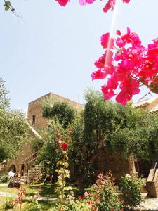 A garden outside To Palio