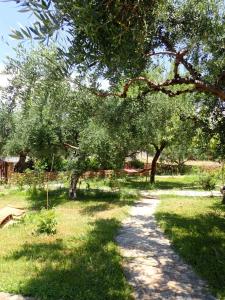 A garden outside To Palio