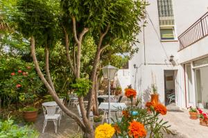 Zahrada ubytování Hostal Cruz