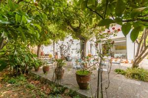 un groupe de plantes en pots dans un jardin dans l'établissement Hostal Cruz, à Tossa de Mar