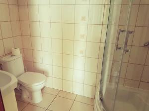 uma casa de banho com um WC e uma cabina de duche em vidro. em Noclegi U Dyncyka em Krajno Pierwsze