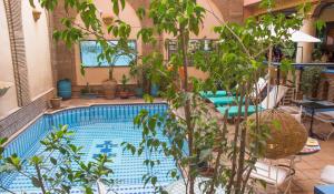 Bazén v ubytování Amani Hotel Suites & Spa nebo v jeho okolí