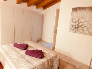 a room with a bed with two purple pillows on it at Ca' Campitol in Torri del Benaco