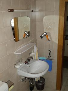 A bathroom at Almblick Appartements Még 13 kép