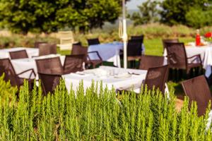 Zahrada ubytování Agriturismo & Cantina Tenuta Casteani
