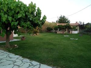 A garden outside Casa memories