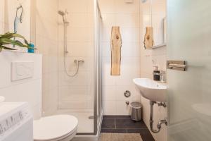 La salle de bains est pourvue d'une douche, de toilettes et d'un lavabo. dans l'établissement Wohnen an der Juliuspromenade Main, à Wurtzbourg