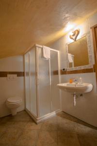 une salle de bain avec douche, lavabo et toilettes dans l'établissement Grand Golliat, à Saint-Rhémy-en-Bosses