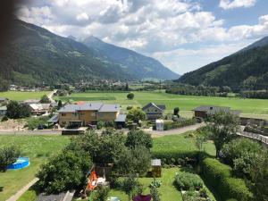 Táj Show homestays közelében