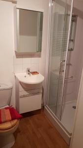 Gite Le Moulin de Rosieres Moulin Champetier في Rosières: حمام مع دش ومغسلة ومرحاض