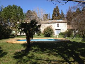 a palm tree in front of a house with a swimming pool at Le Mas d'Hermès in Plan-dʼOrgon
