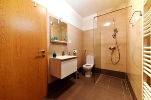 Koupelna v ubytování Apartman Hertz + 29 fotografií