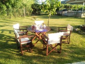 A garden outside Casa memories