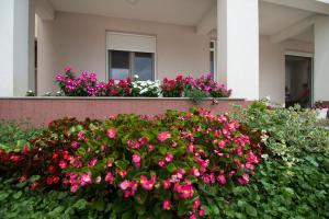 Zahrada ubytování Villa Bojcic