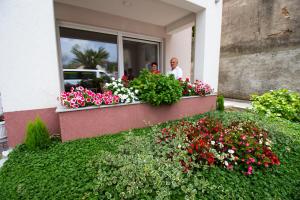 Zahrada ubytování Villa Bojcic