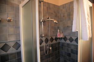 bagno con doccia e piastrelle blu di Residence San Paolo a Lido di Savio
