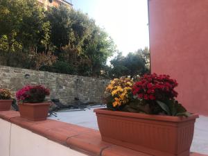 Zahrada ubytování Cilento