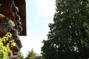 ハウス・イム・エンスタールにあるAppartments am Esslgutの花籠付きの大木
