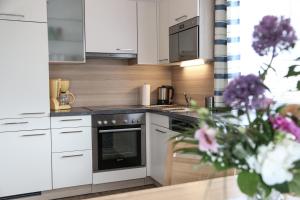 Kuchyň nebo kuchyňský kout v ubytování Appartments am Esslgut