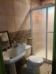 a bathroom with a toilet and a sink and a shower at The Bamboo House in Bocas Town